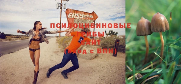 мескалин Алзамай