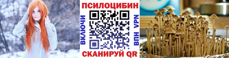 Псилоцибиновые грибы Magic Shrooms  Куровское 