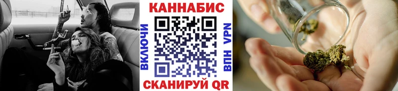 Канабис планчик  Куровское 